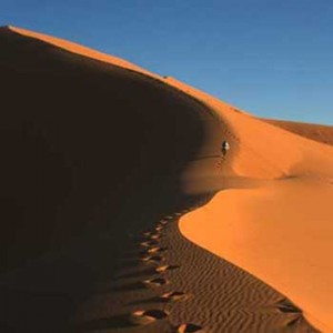 The Golden Amber Dunes of the desert
