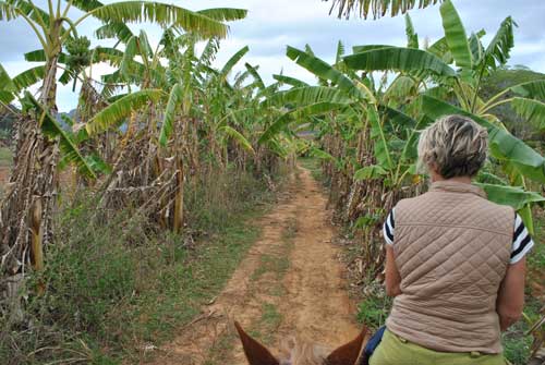 The author on horseback in Vinales (c) Rosanna Ley
