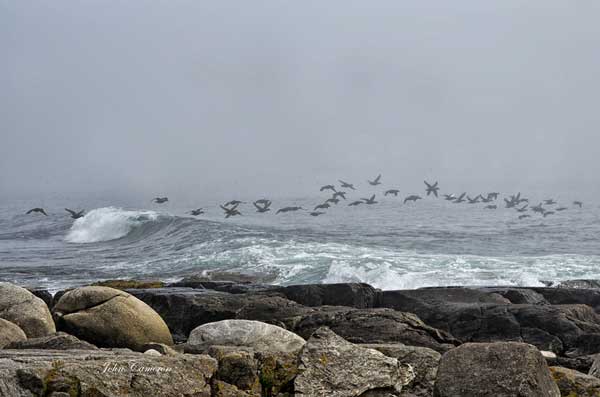 Cape Breton (c) John Cameron