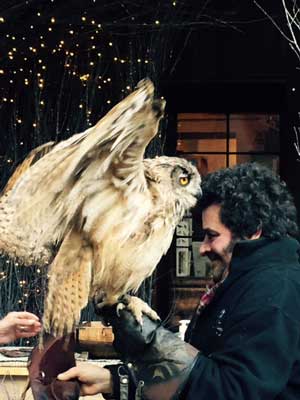 Harry Potter owl and Hagrid