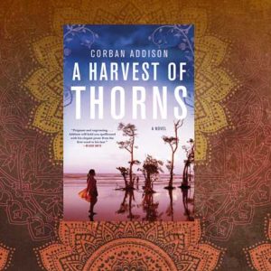 A novel with a conscience – The dark side of fashion