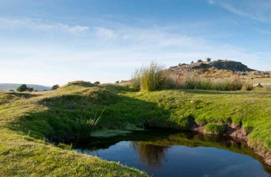 Rough-Tor (c) Matt-Jessop Visit Cornwall