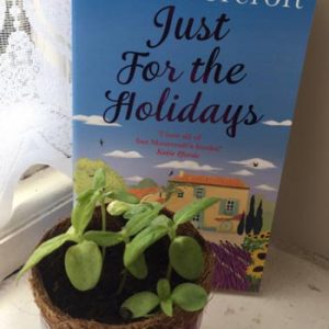 #DestinationBooktrail –  Alsace – #Authorsonlocation – Sue Moorcroft
