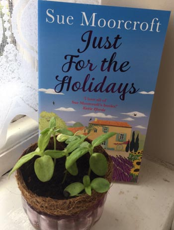 Just for the Holidays (c) TheBookTrail