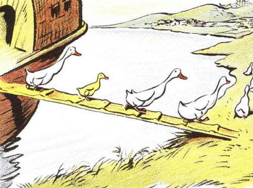 The family of ducks in an illustration from the books