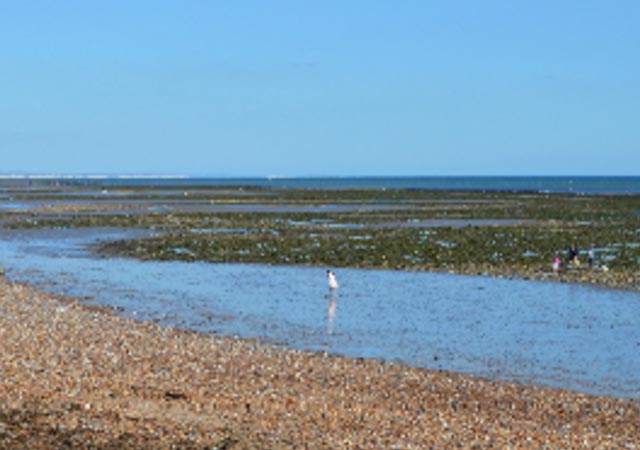 Worthing beach (c) Juliet West