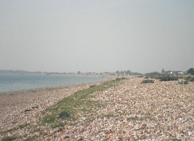 Shingle beach at Aldwick (c) Juliet West