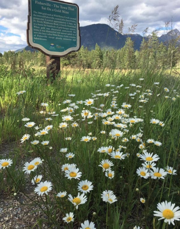 Historic Fisherville near Cranbrook w Fisher Peak  (c) Dave Butler