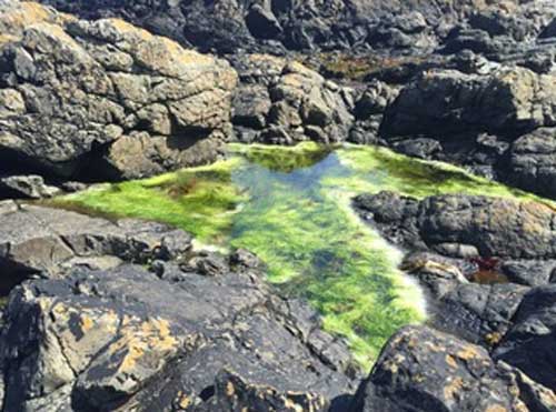 Bathing pools, Guernsey (c) Lara Dearman