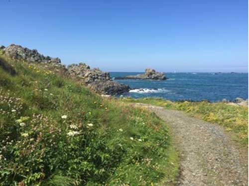 Guernsey (c) Lara Dearman