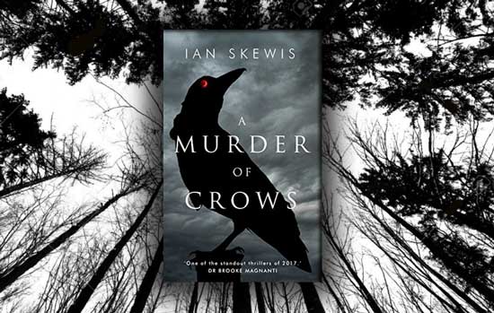 A murder of crows