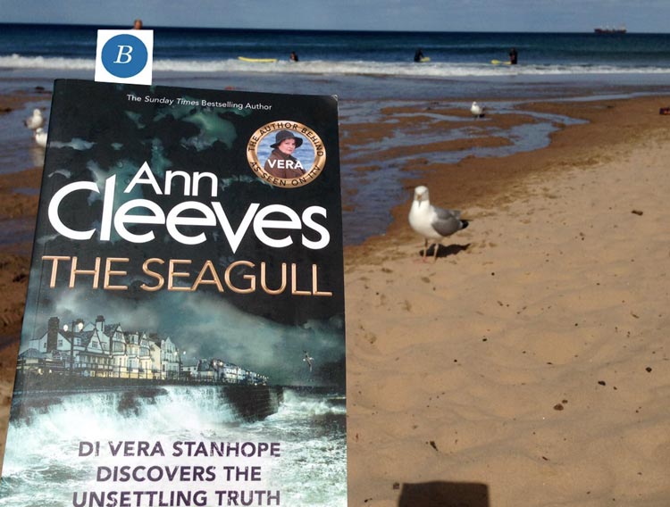 The other kind of Seagull (c) The BookTrail
