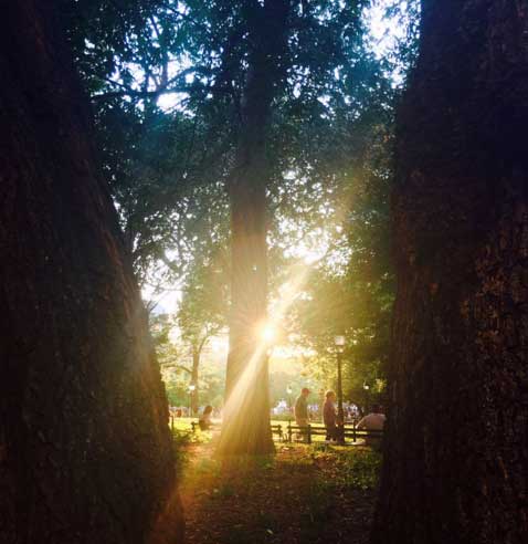 Washington Square Park (c) Suzanne Riddell