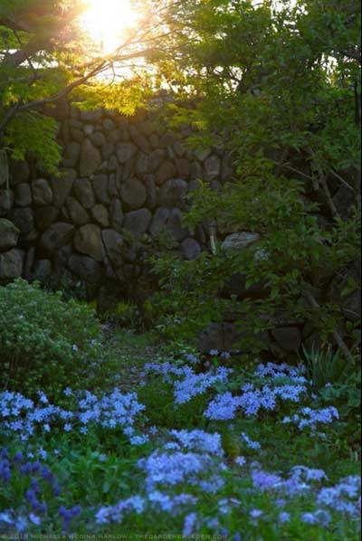 Blue beach (c) Carol Lovekin