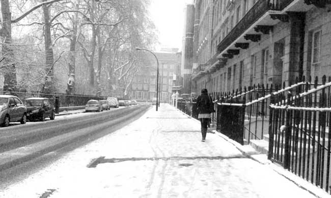 Gordon Square in the snow, London (c) Carol Lovekin