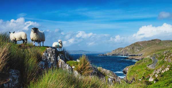 Wild Atlantic Way (c) Margaret Madden