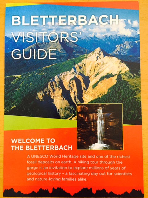 The Mountain Promotional leaflet