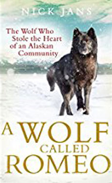 A Wolf Called Romeo