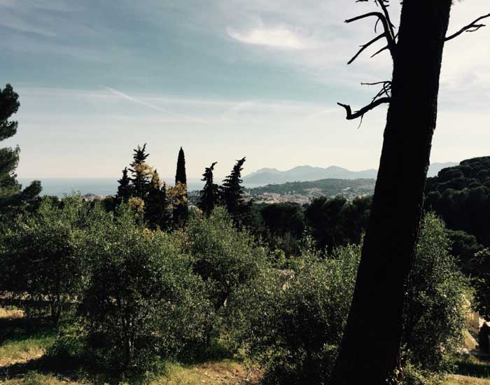 Mediterranean landscape, such as Charlie and Marguerite might have looked out upon (c) Carol Drinkwater