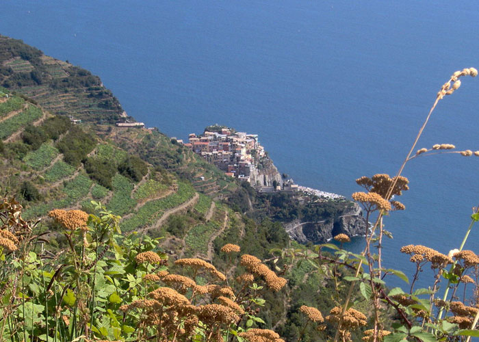 Rosanna Ley Travels to Cinque Terre, Italy and the Lemon Tree Hotel