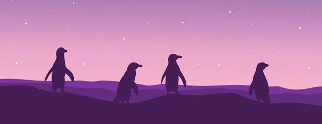 Come Away with the Penguins to Antarctica and Hazel Prior