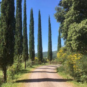 Dreaming of Tuscany, with author Trevor Williams