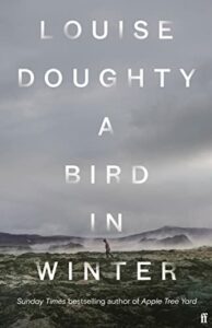 A Bird in Winter Louise Doughty
