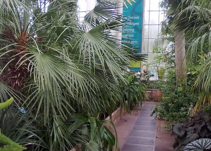 The Palm House (c) Wikipedia