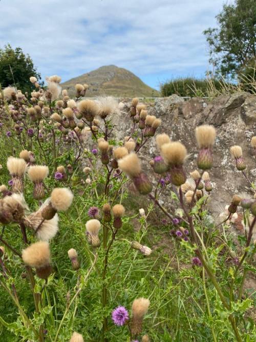 East Lothian (c) Angela and Martin