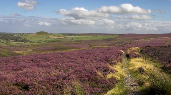 North York Moors (c) Wikipedia