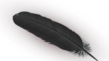 black feather