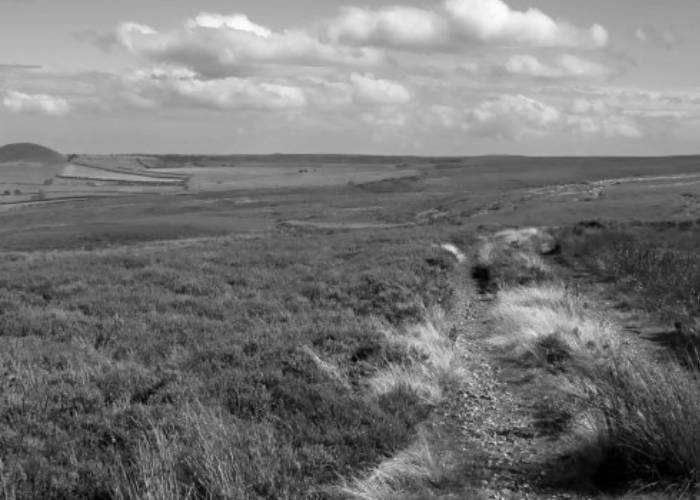 The Yorkshire Moors (c_ Wikipedia