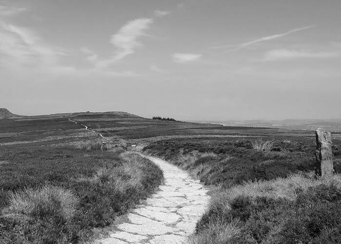 The Yorkshire Moors (c_ Wikipedia