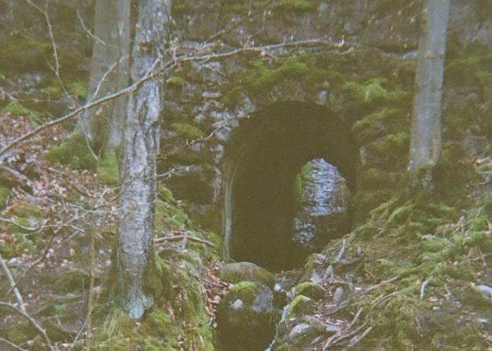 Tunnel in Woodland (c) Louise Doughty