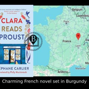 French novel set in a Burgundy hairdressers