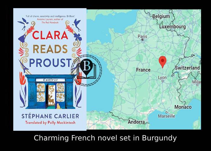 French novel set in a Burgundy hairdressers