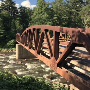 Travel to the Catskills with BirdEye and Judith Heneghan