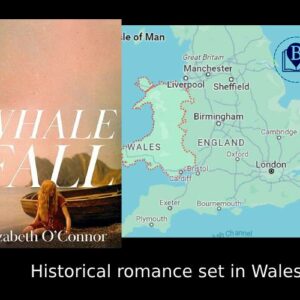 Historical romance set in Wales