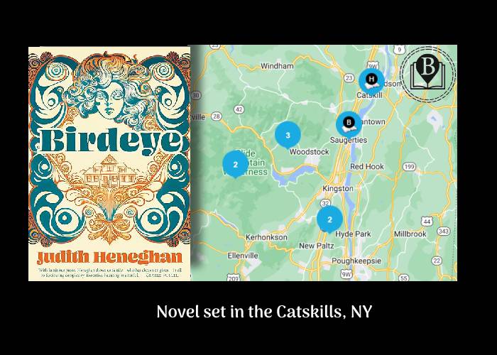Birdeye set in the Catskills, New York