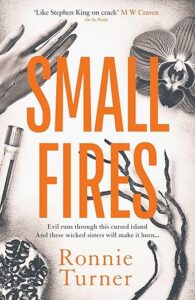 Small Fires Ronnie Turner