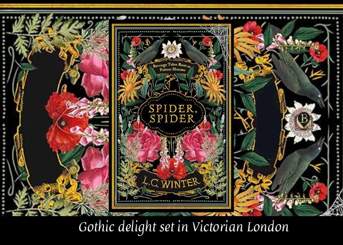 spider spider L C winter