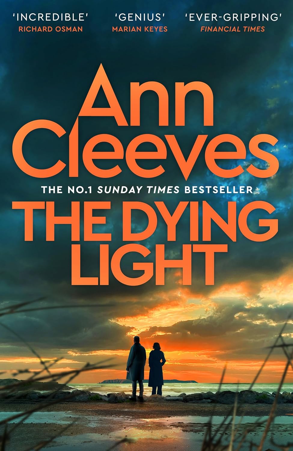 The Dying Light
