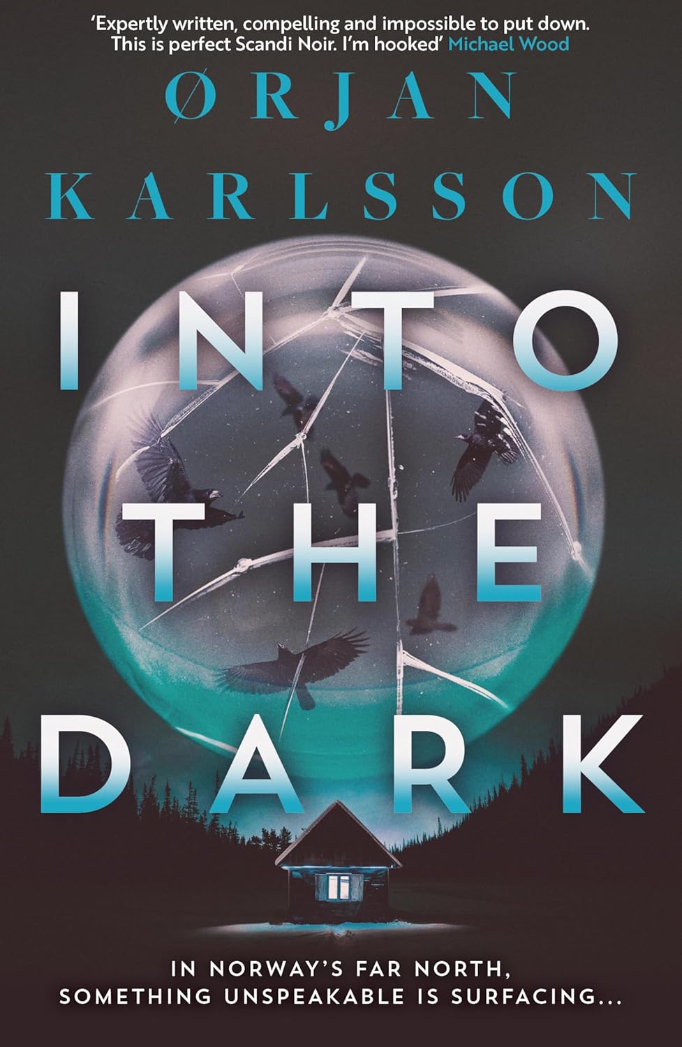 Into the Dark